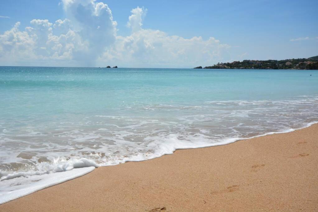 Beachfront Getaway For Two! Humacao Extérieur photo