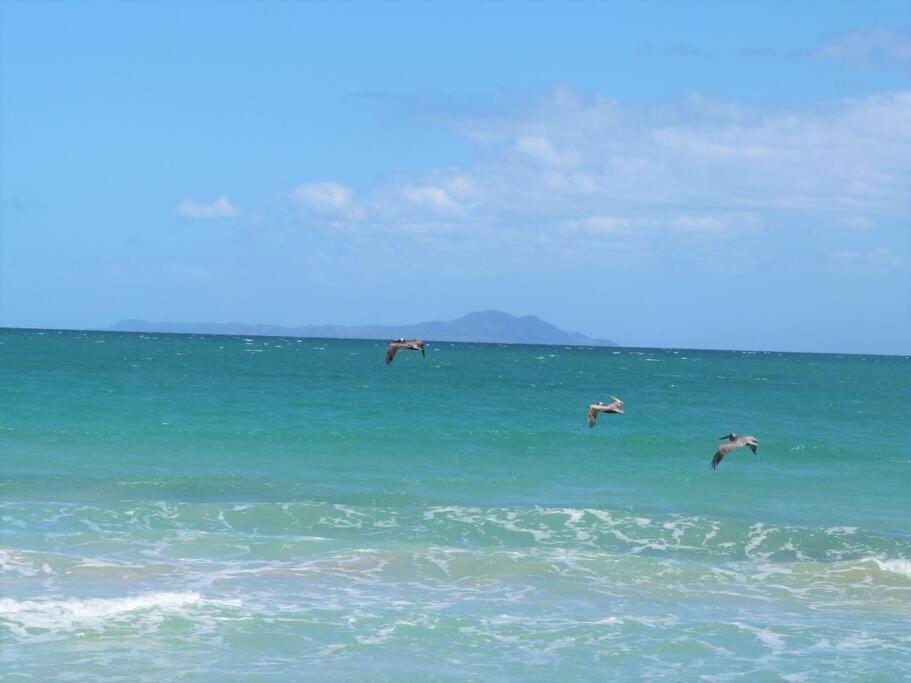 Beachfront Getaway For Two! Humacao Extérieur photo